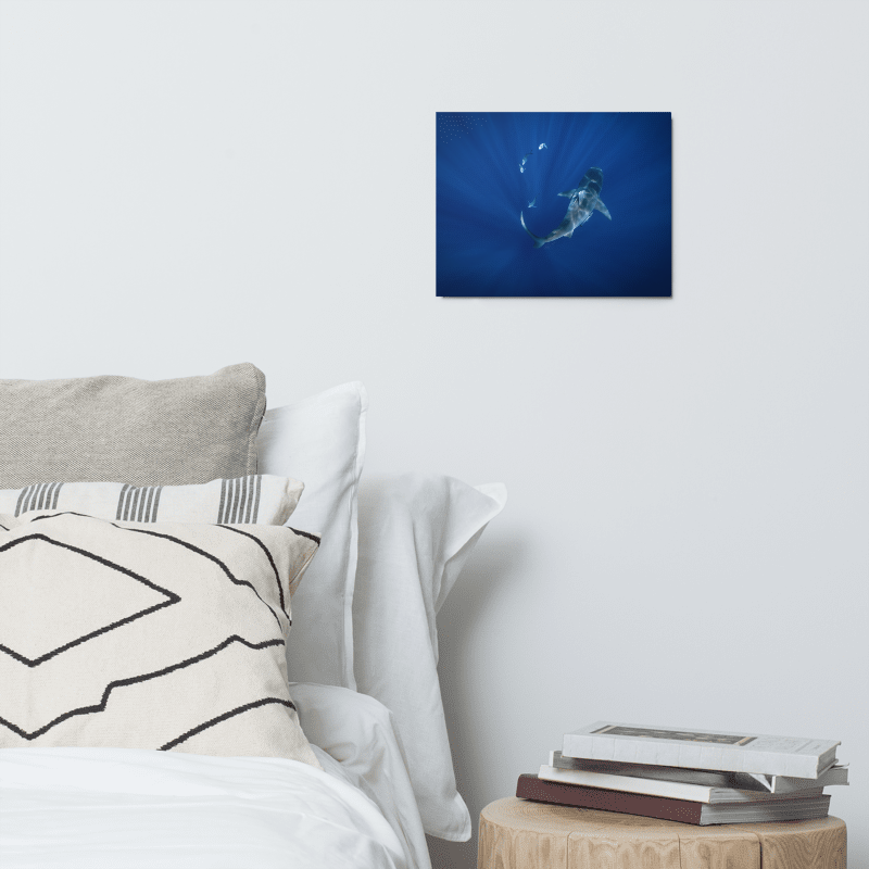 Bull Shark - Metal print