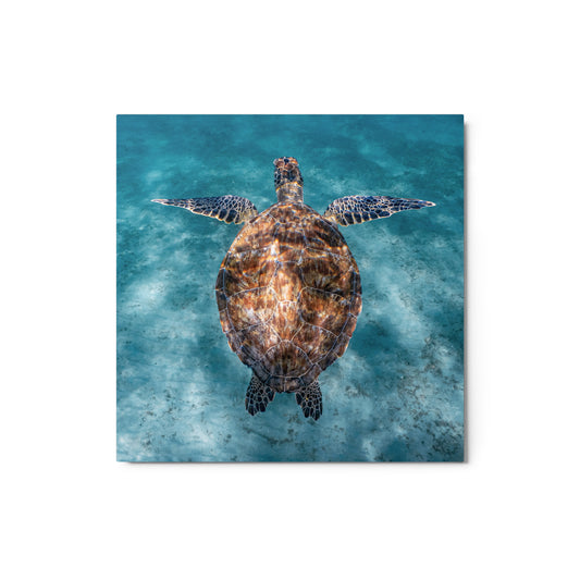 Tie-Die Turtle - Metal print